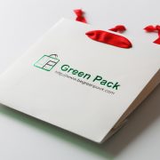 Green Foil Hot Stamp Paper Bag